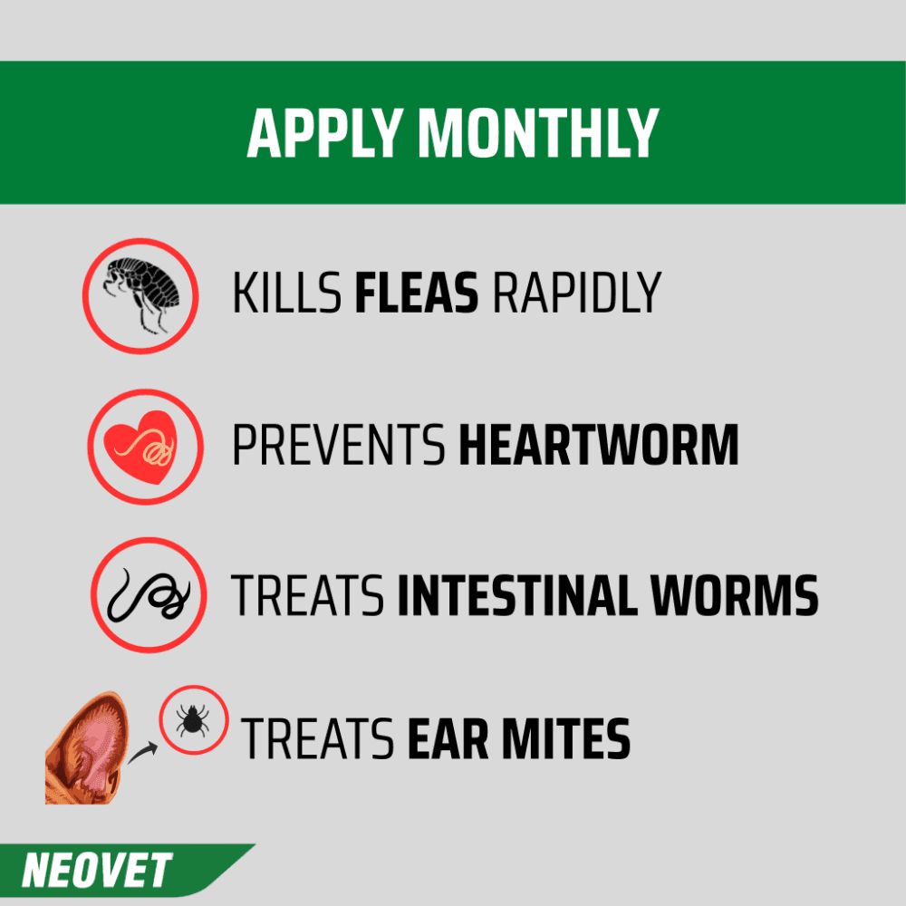 Neovet Flea And Worming For Large Dogs
