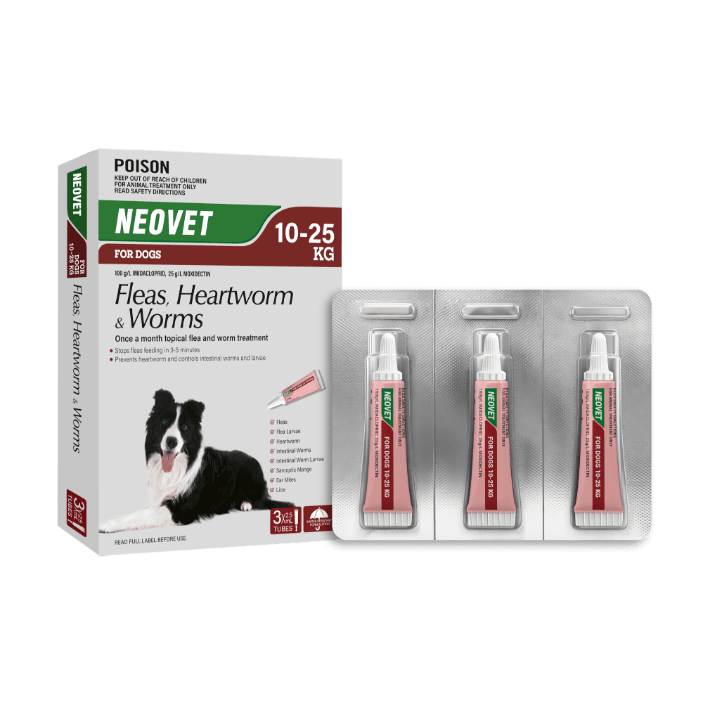 Neovet Flea And Worming For Large Dogs