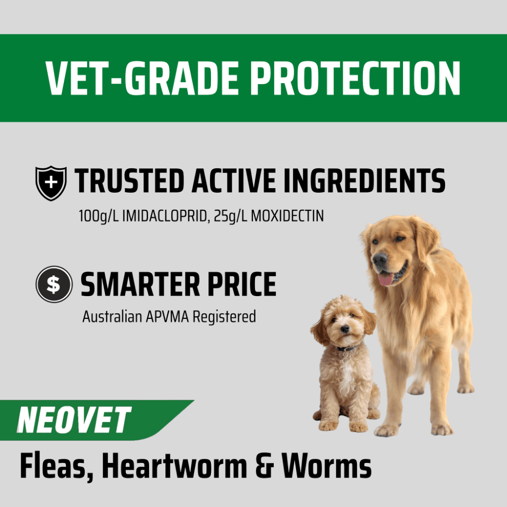 Neovet Flea And Worming For Large Dogs