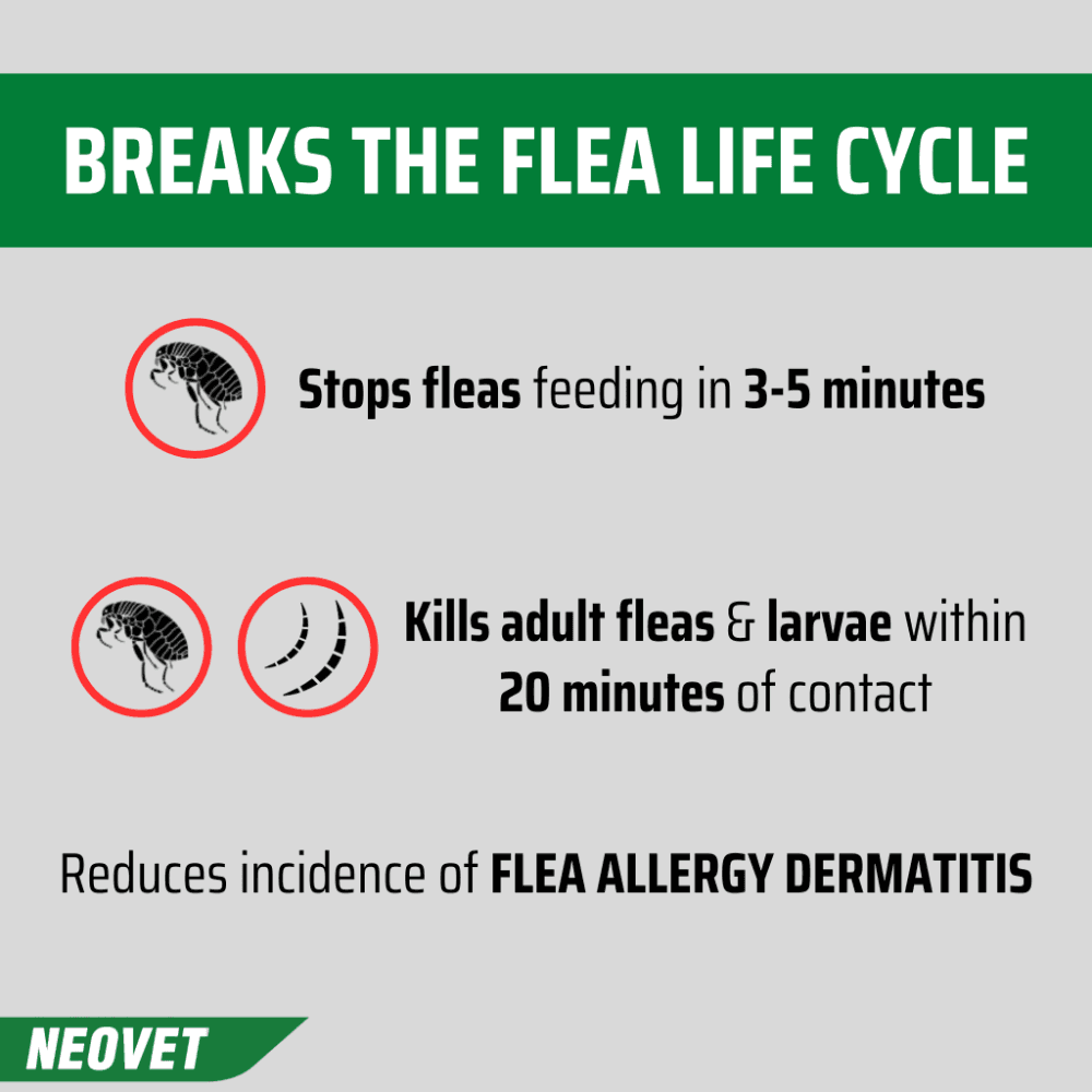 Neovet Flea And Worming For Large Dogs