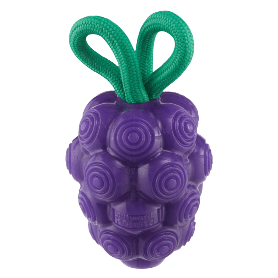 nina-ottosson-dental-grapes-treat-dispensing-dog-chew-toys