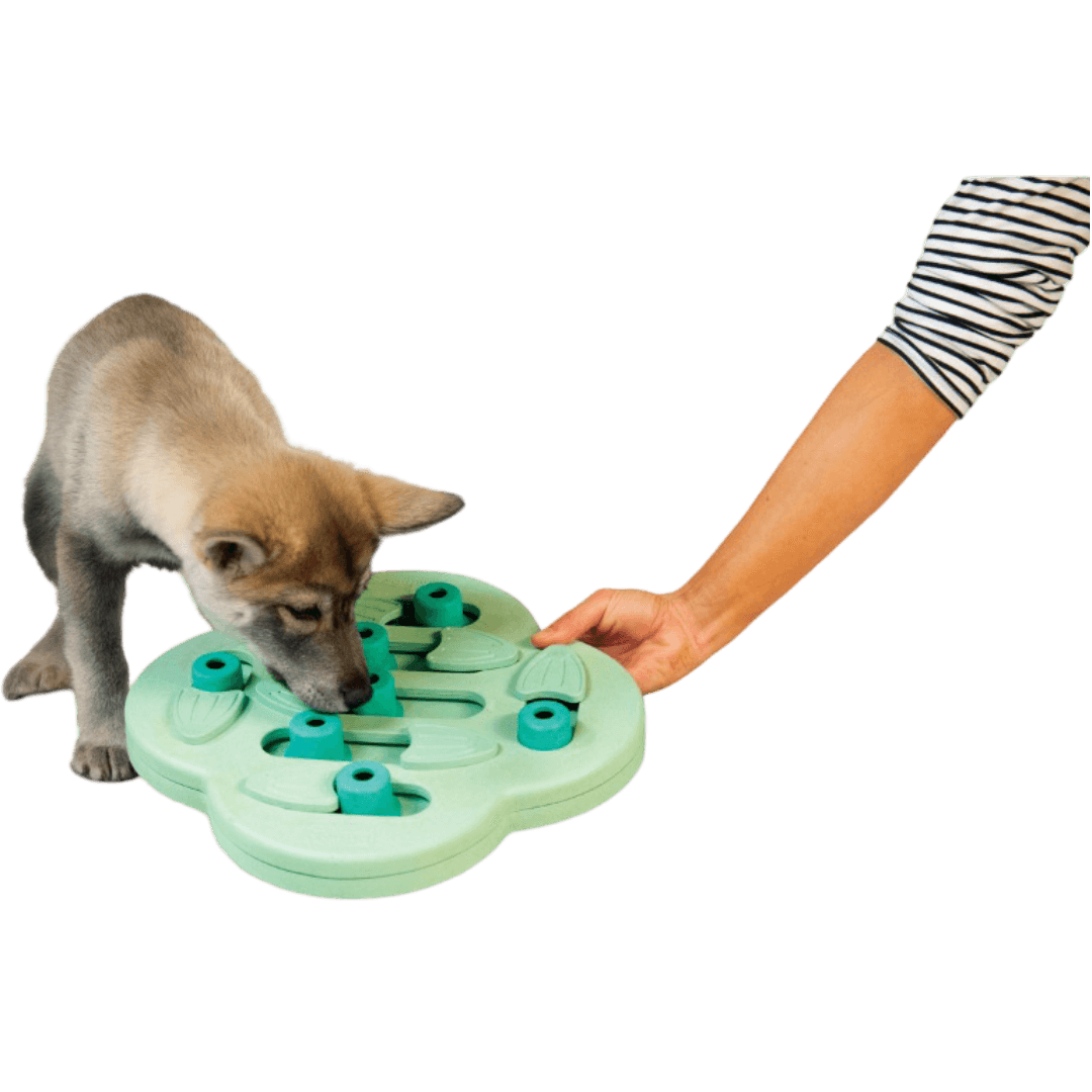 nina-ottosson-puppy-hide-slide-dog-treat-puzzle-toy