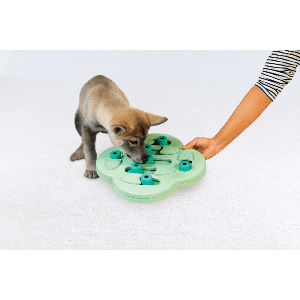 nina-ottosson-puppy-hide-slide-dog-treat-puzzle-toy