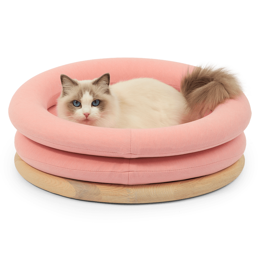 nujiao-bubble-dome-bed-pink