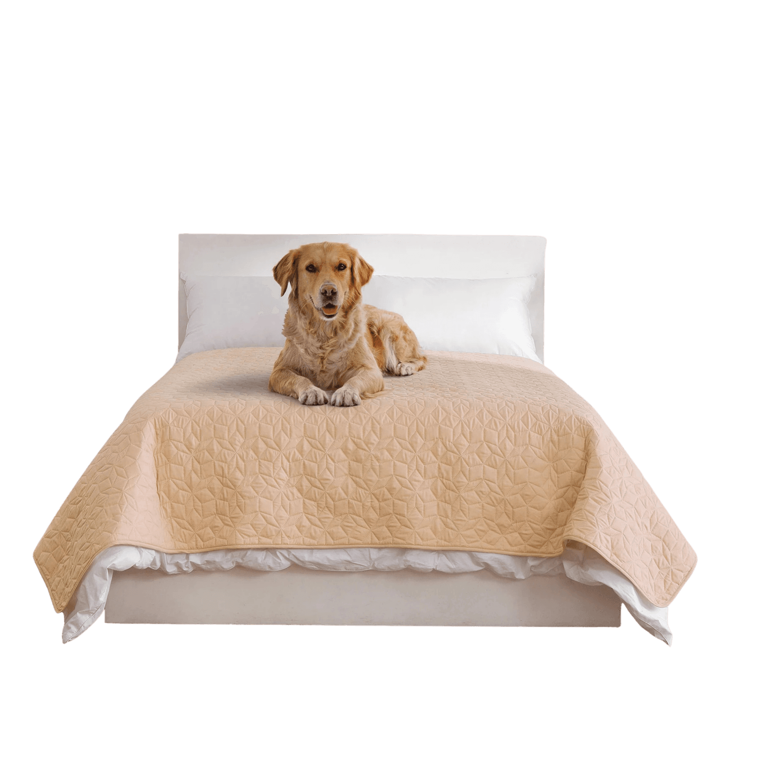 Sofur Waterproof Dog Bed Cover Protector Oat