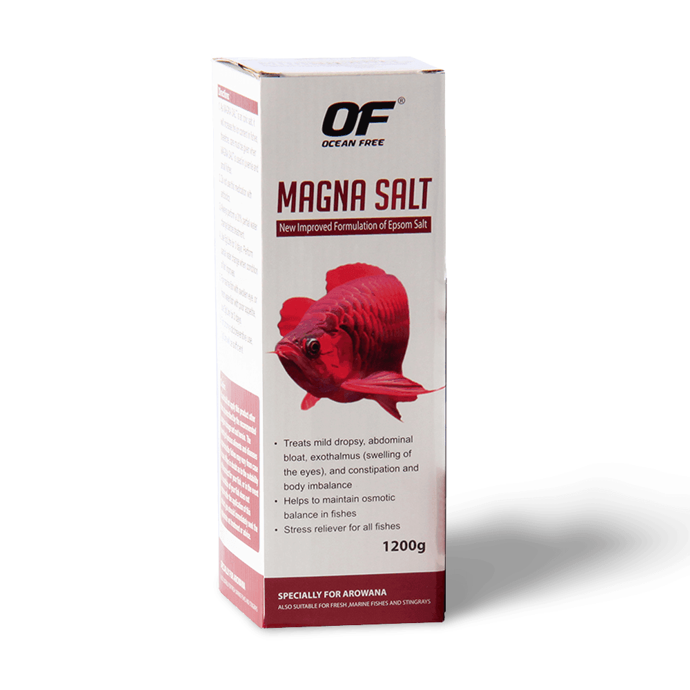 ocean-free-magna-salt