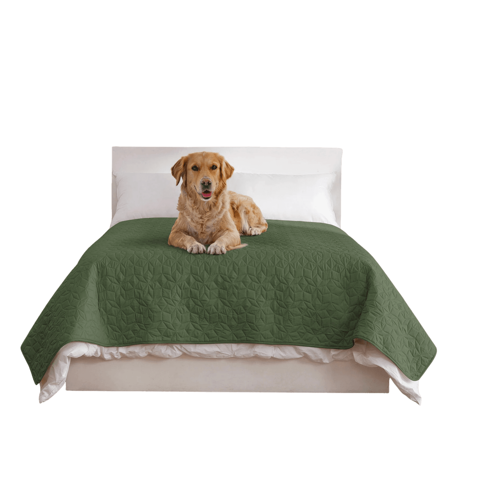 Sofur Waterproof Dog Bed Cover Protector Olive