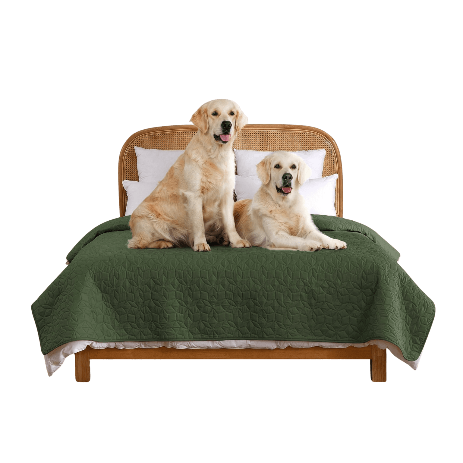Sofur Waterproof Dog Bed Cover Protector Olive