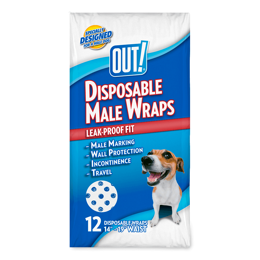 out-disposable-diaper-male