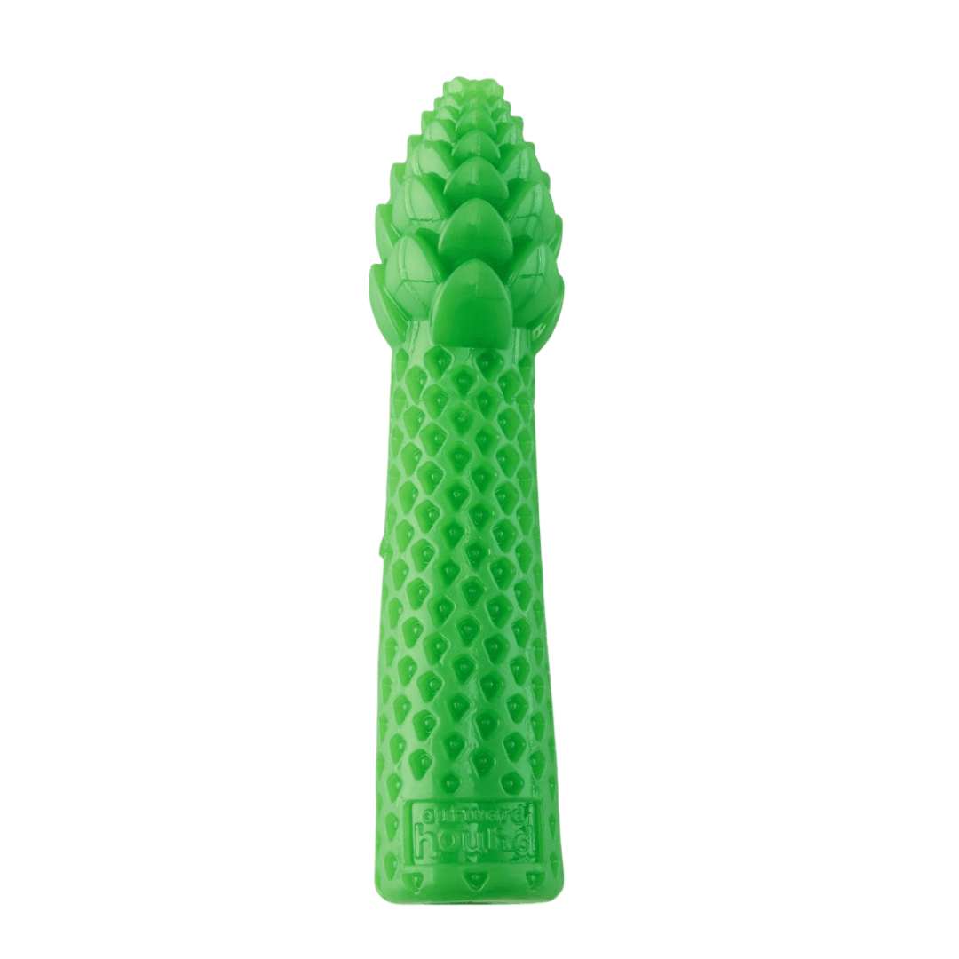 outward-hound-dental-asparagus-dog-chew-toy