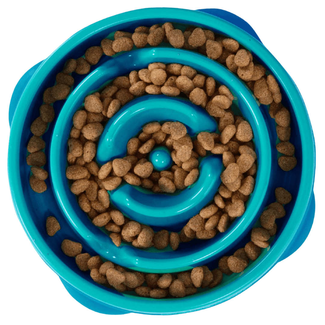 outward-hound-fun-feeder-slow-feed-dog-bowl-teal