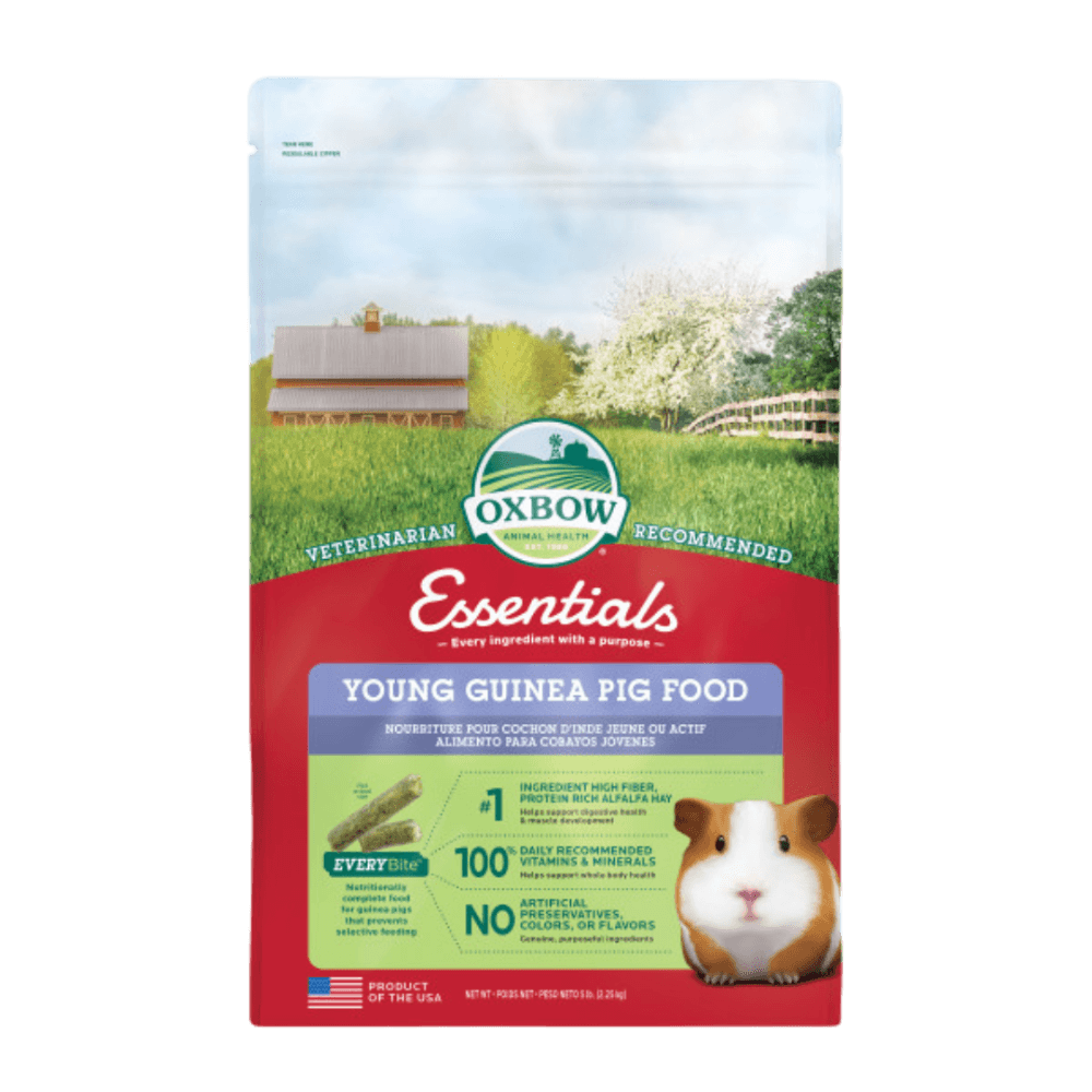 oxbow-essentials-young-guinea-pig-food-with-alfalfa-hay