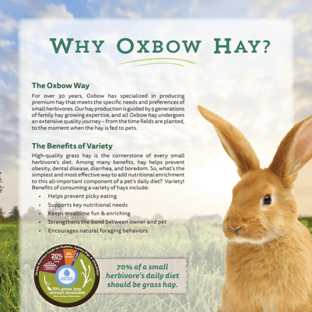 Oxbow info sheet