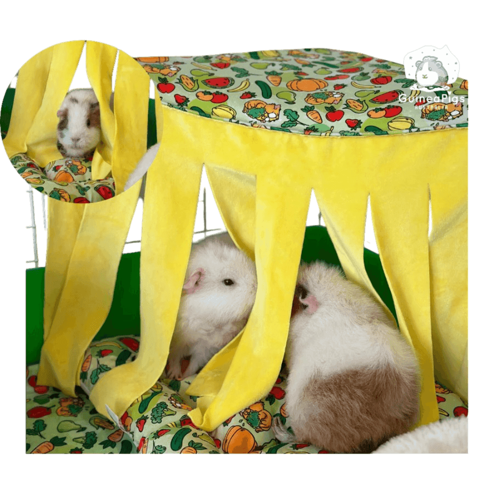 ozzy-cages-corner-curtain-tent-veggie-patch-guinea-pig-cage-accessory