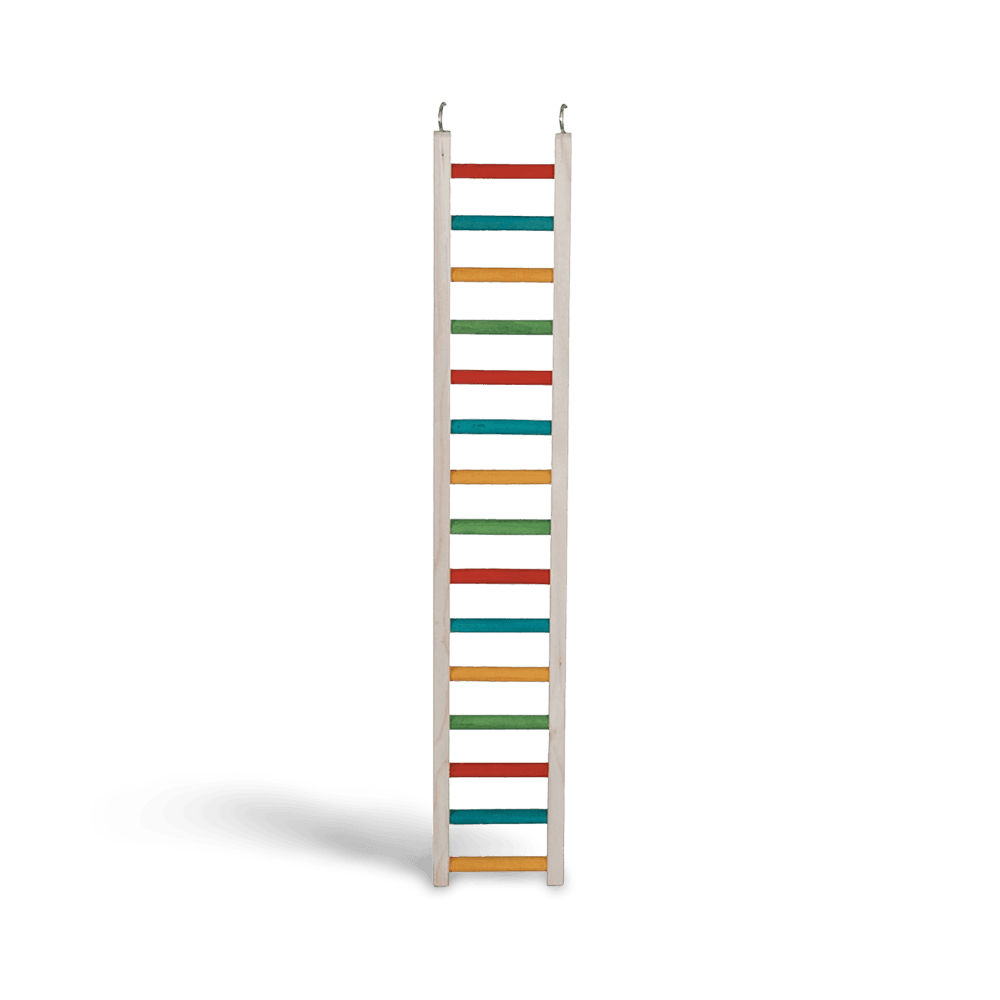 paradise-parrot-ladder