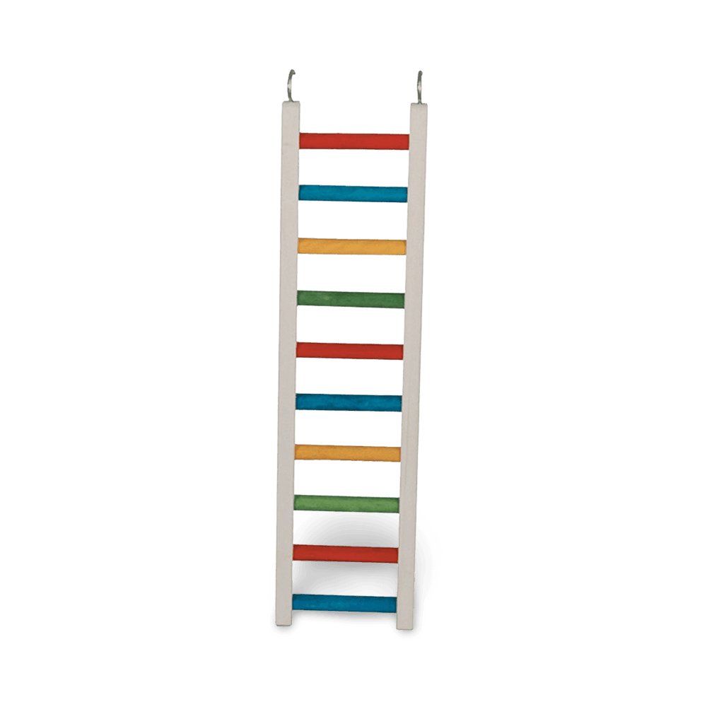 paradise-parrot-ladder