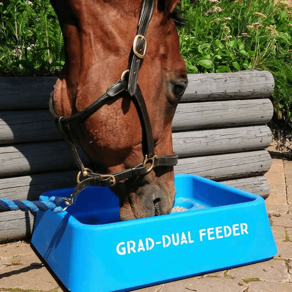 Dual Feeder Lifestyle