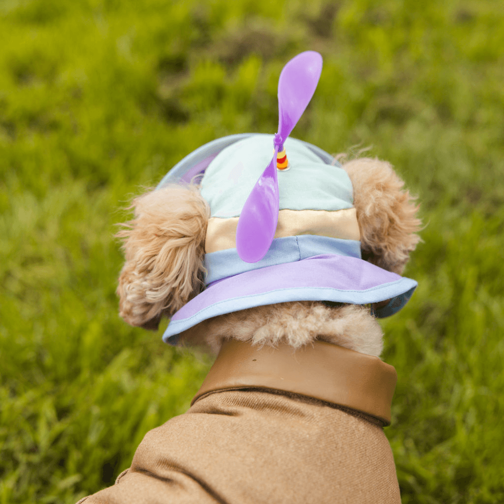 Bois The Label Pastel Colorblock Dog Spinning Bucket Hat