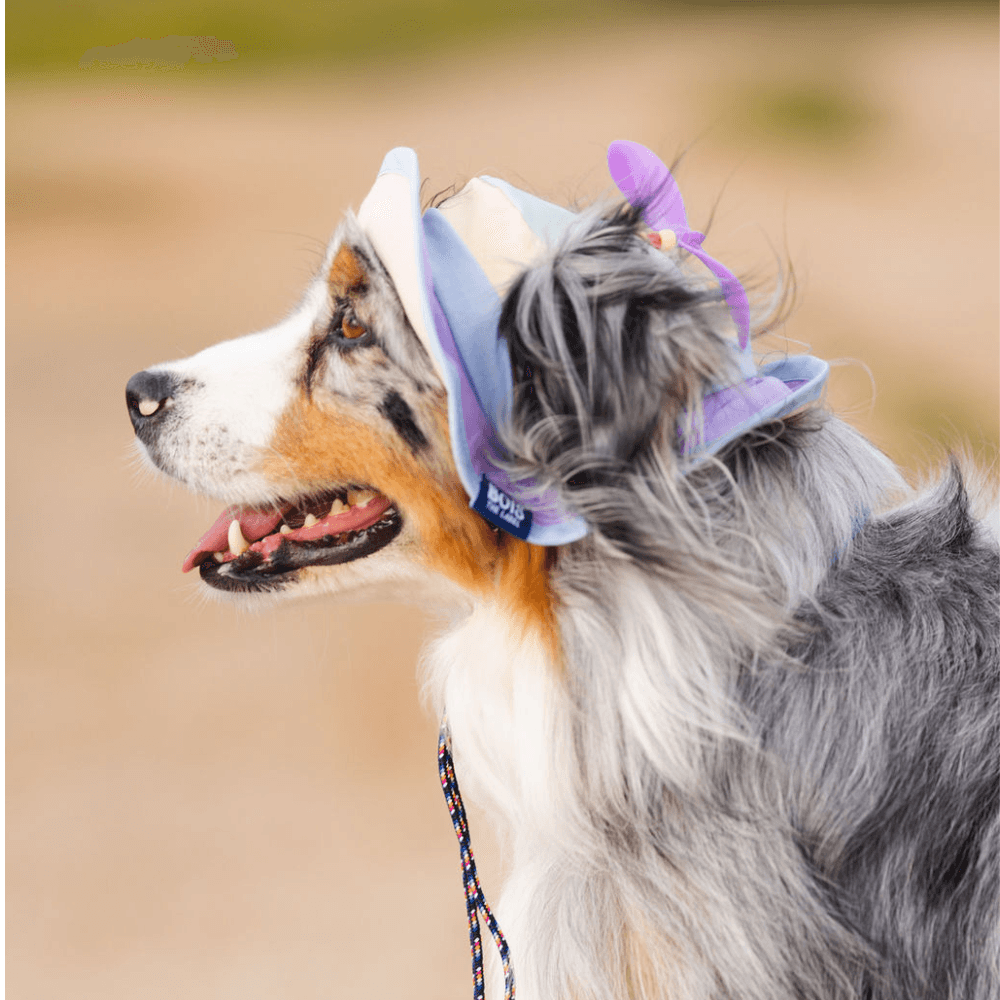 Bois The Label Pastel Colorblock Dog Spinning Bucket Hat