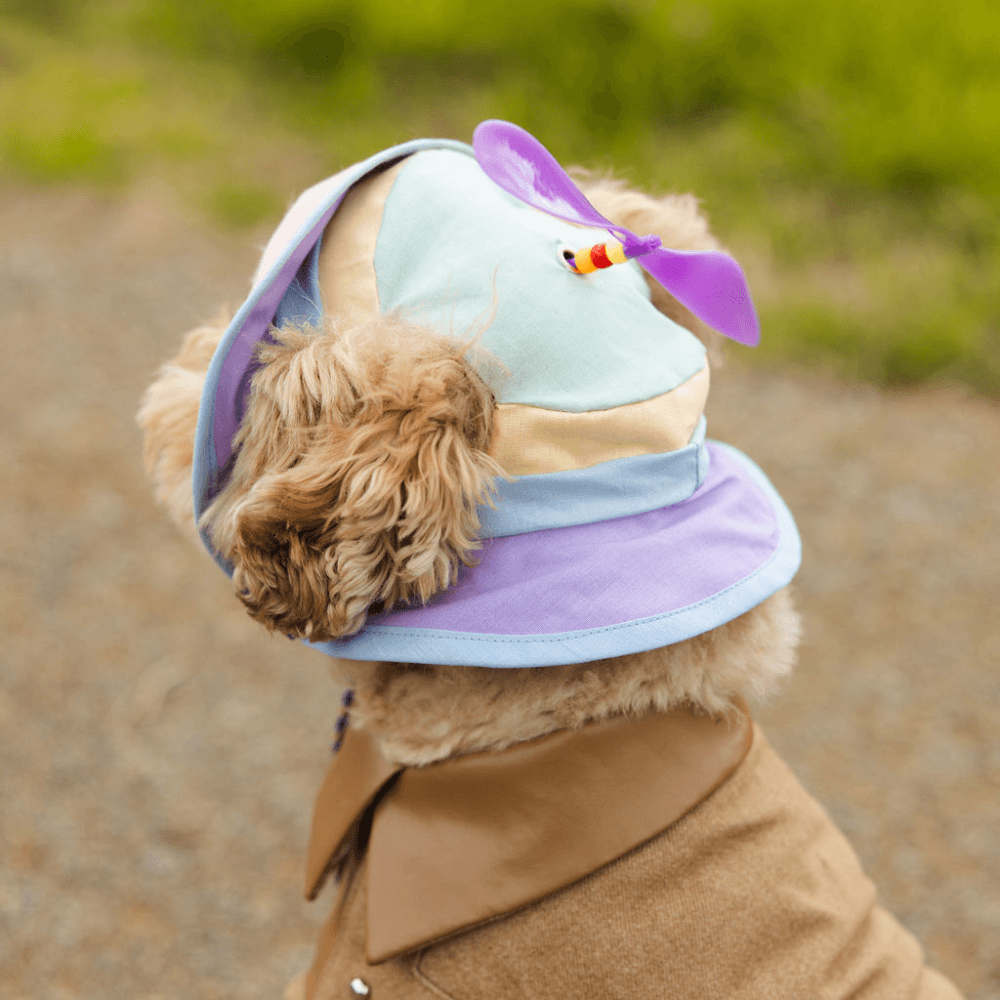 Bois The Label Pastel Colorblock Dog Spinning Bucket Hat