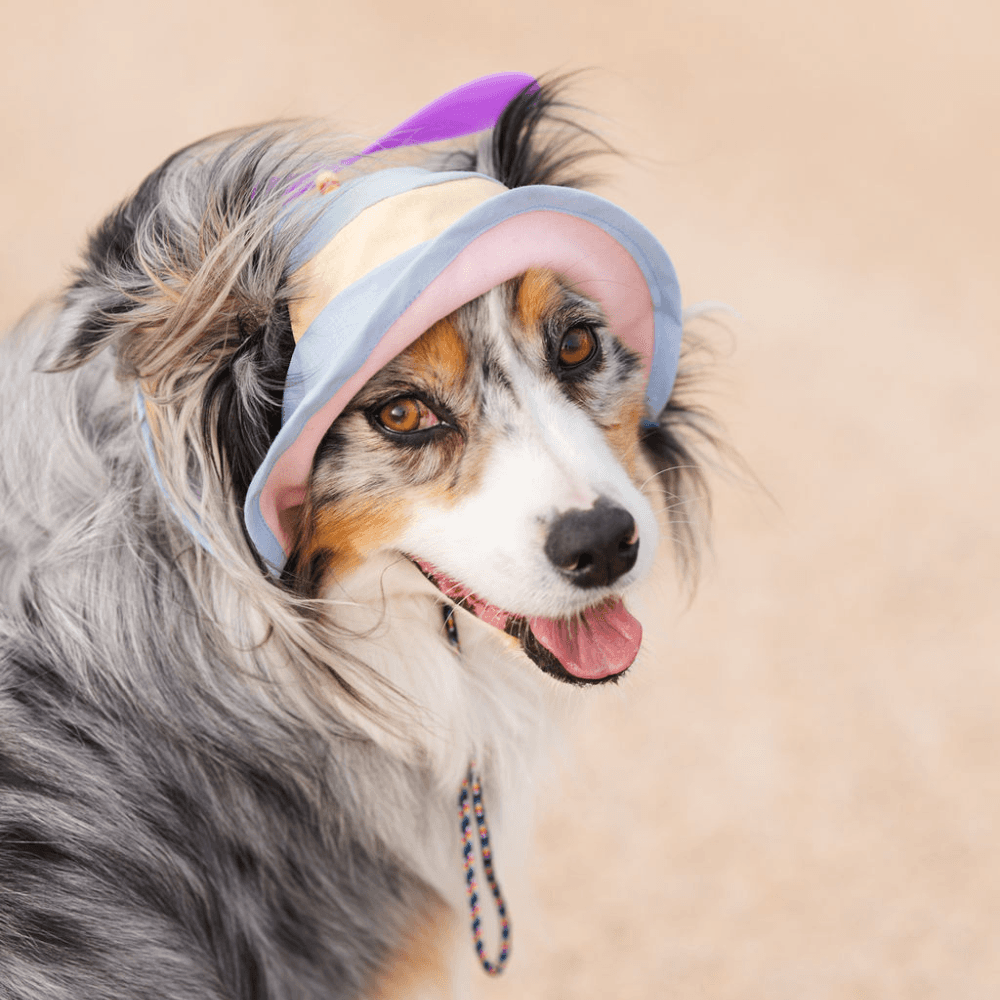 Bois The Label Pastel Colorblock Dog Spinning Bucket Hat