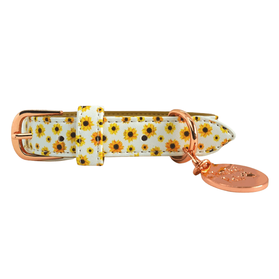 pawfect-pals-sunshine-on-my-mind-collar