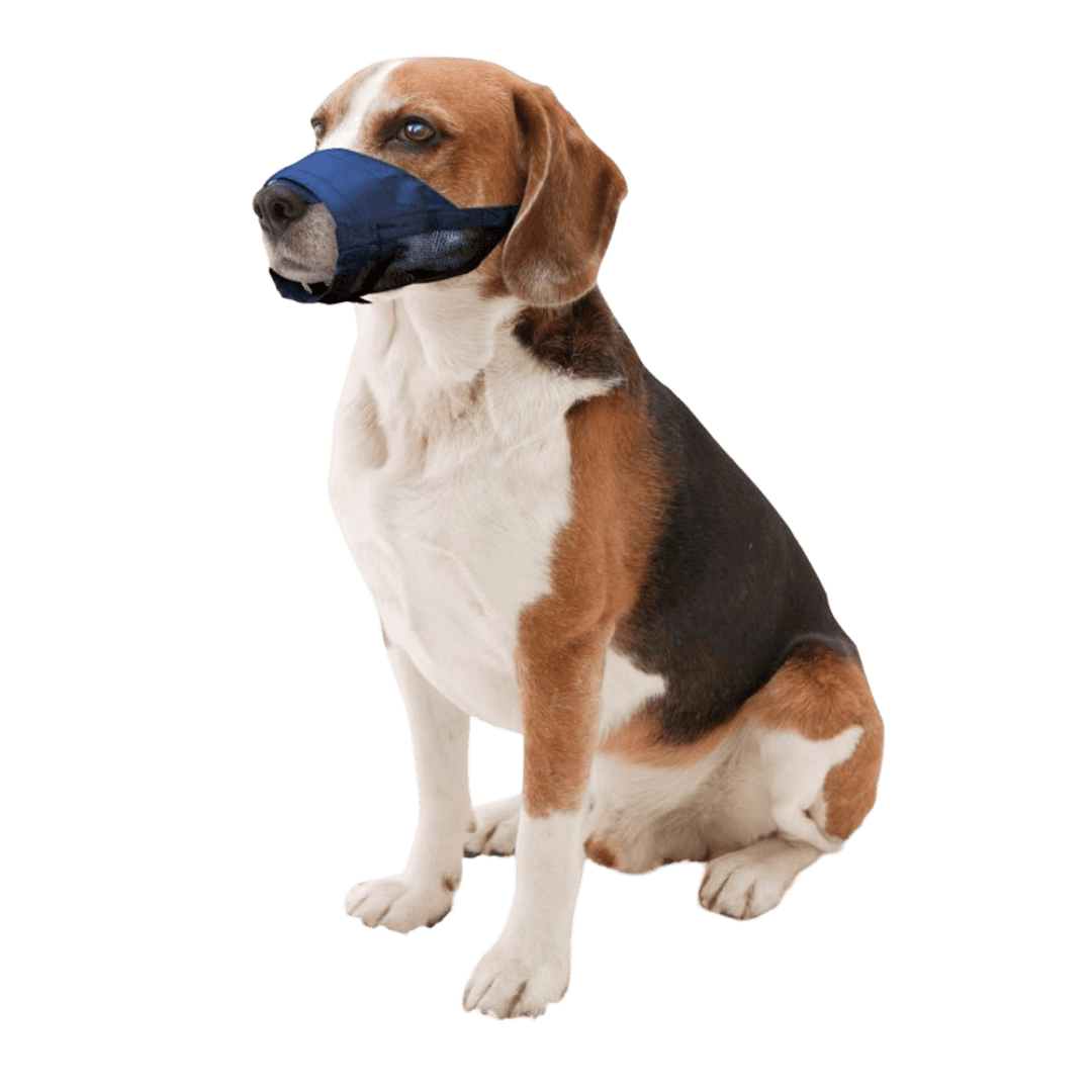 pawise-adjustable-muzzle