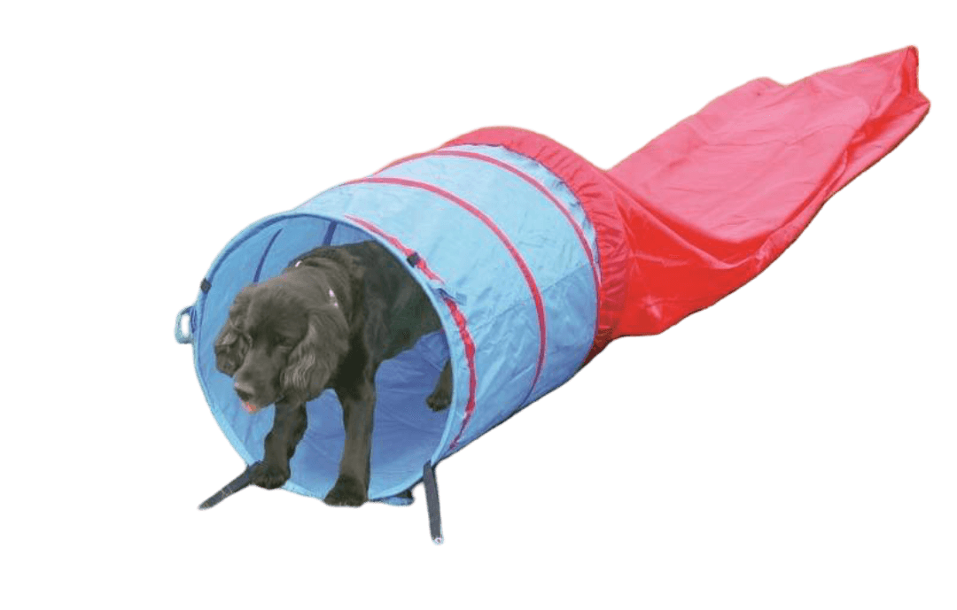 pawise-agility-tunnel