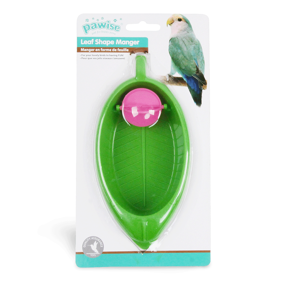 pawise-bird-water-channel