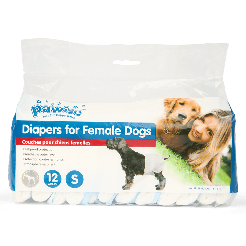 pawise-disposable-diapers-12-pack