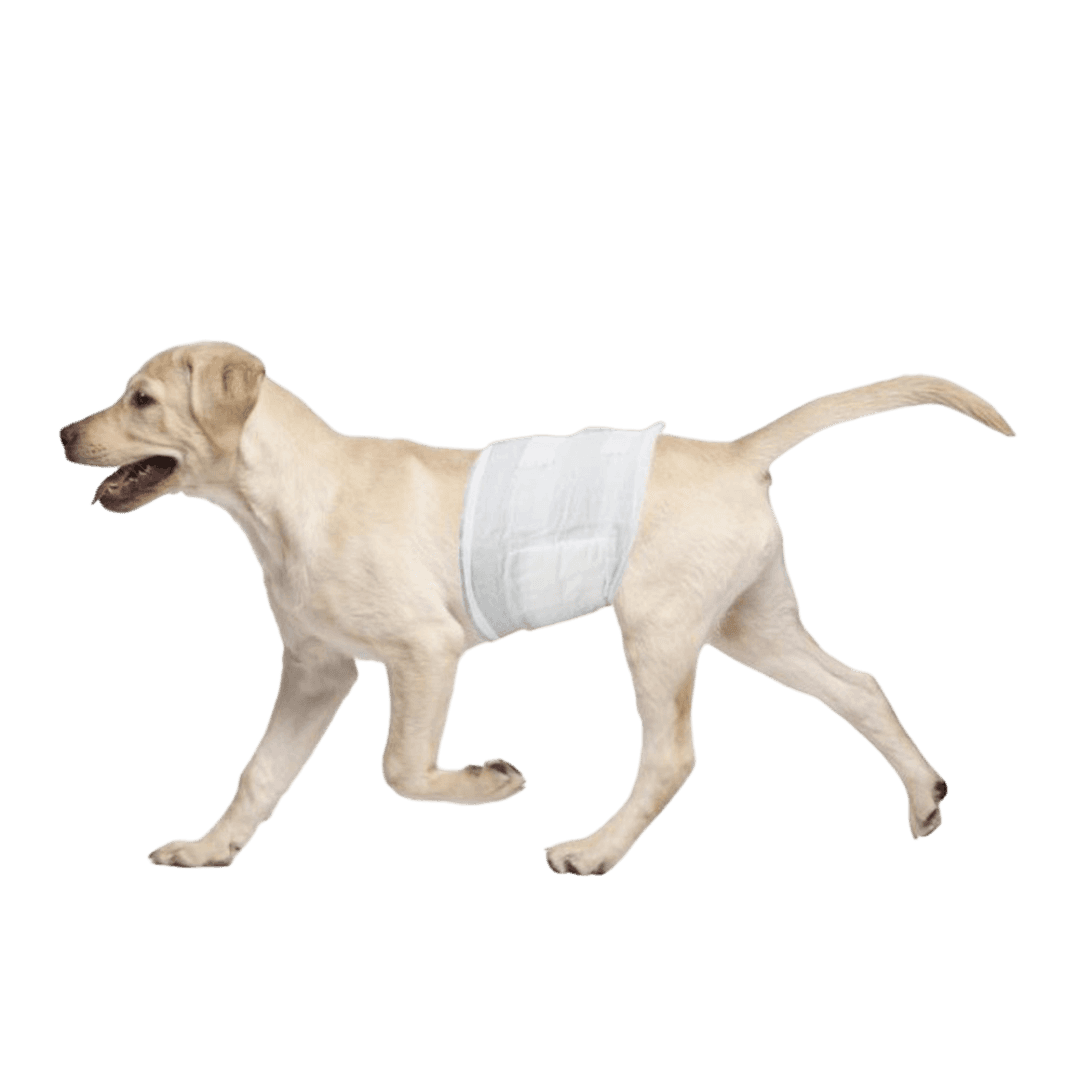 pawise-disposable-wrap-12-pack