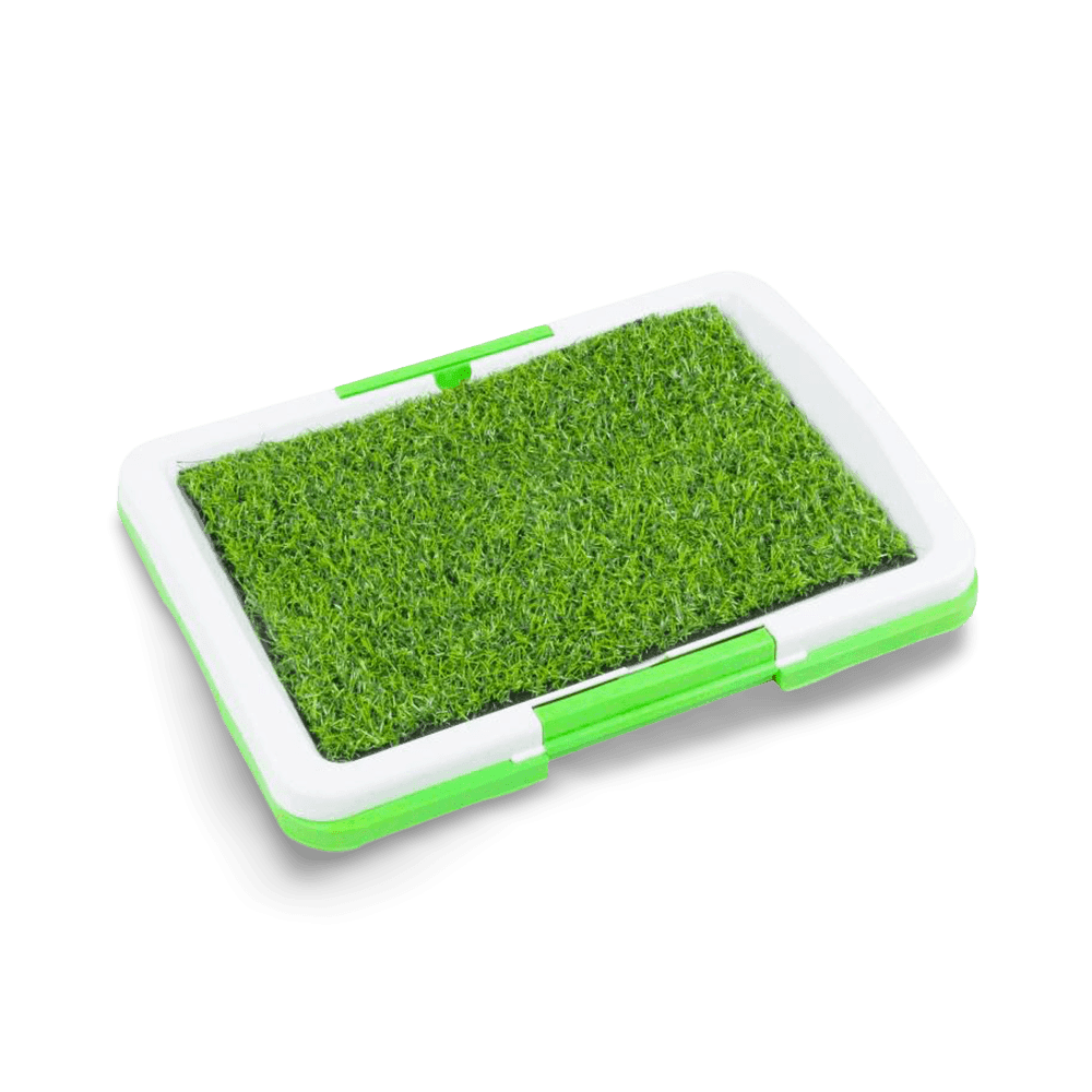 pawise-indoor-dog-toilet