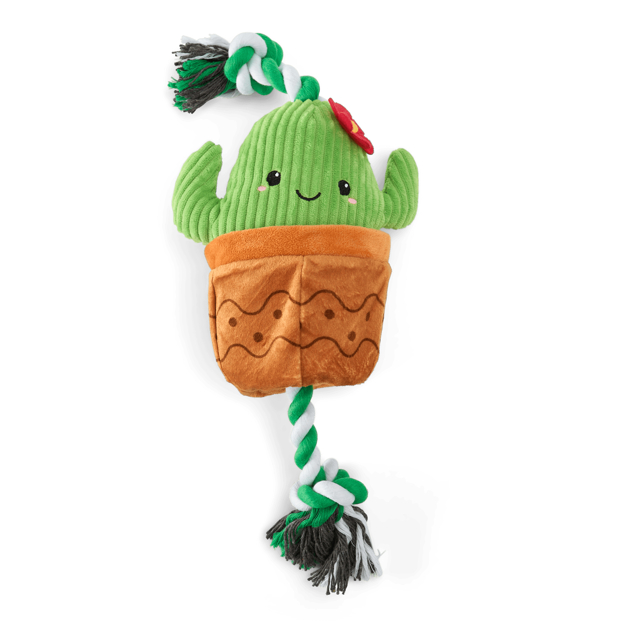 paws-for-life-2-in-1-plush-cactus-and-flower-pot-rope-dog-tug-toy
