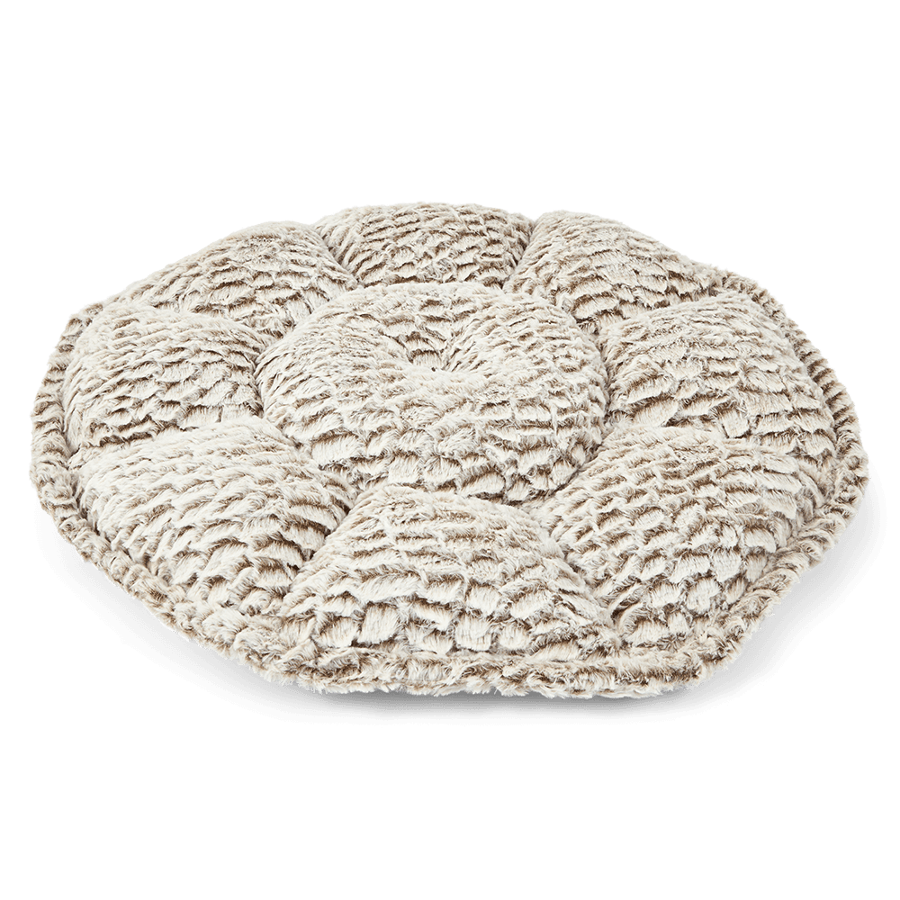 paws-for-life-2-in-1-cat-bed-and-mat