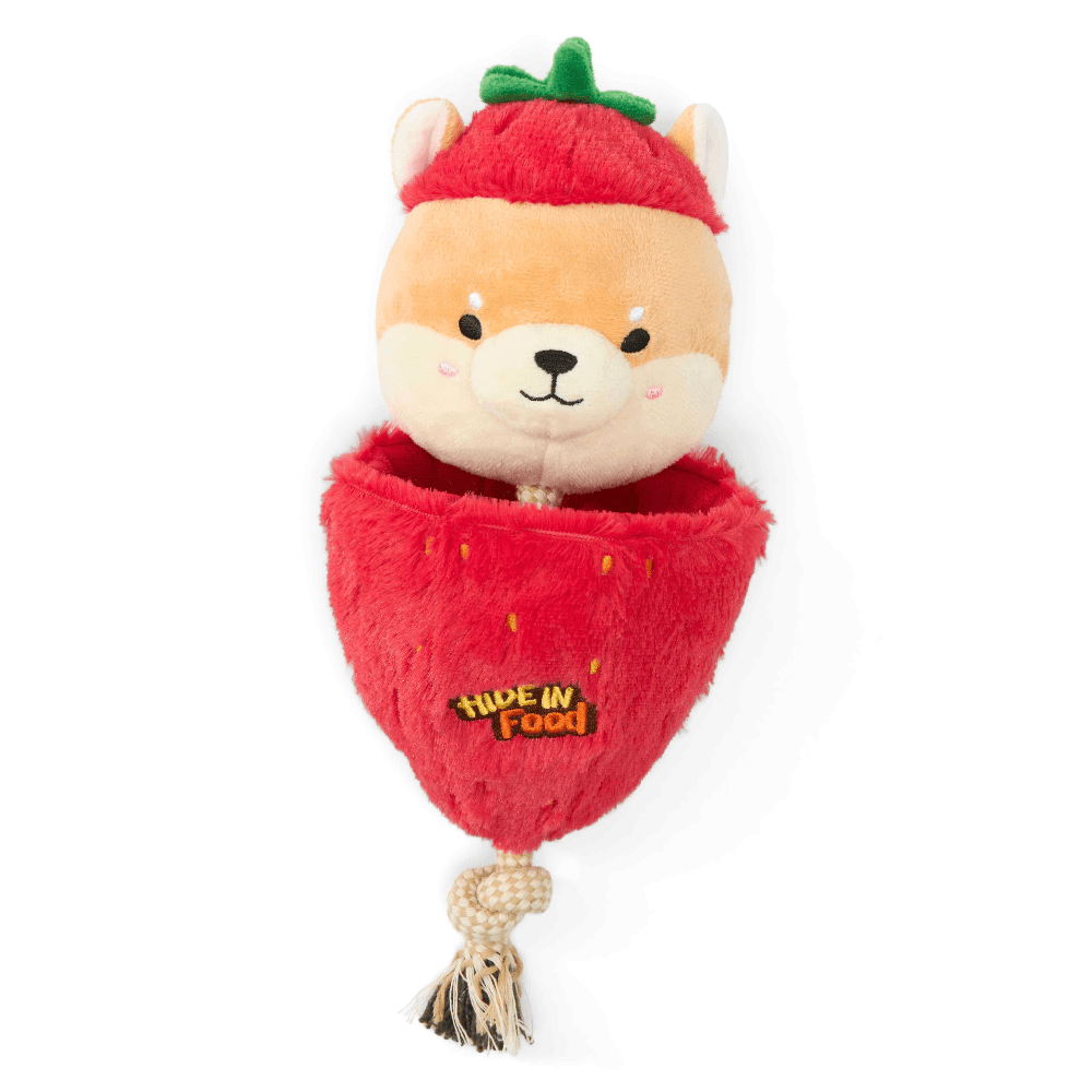 paws-for-life-2-in-1-crinkle-strawberry-corgi-and-rope-dog-tug-toy