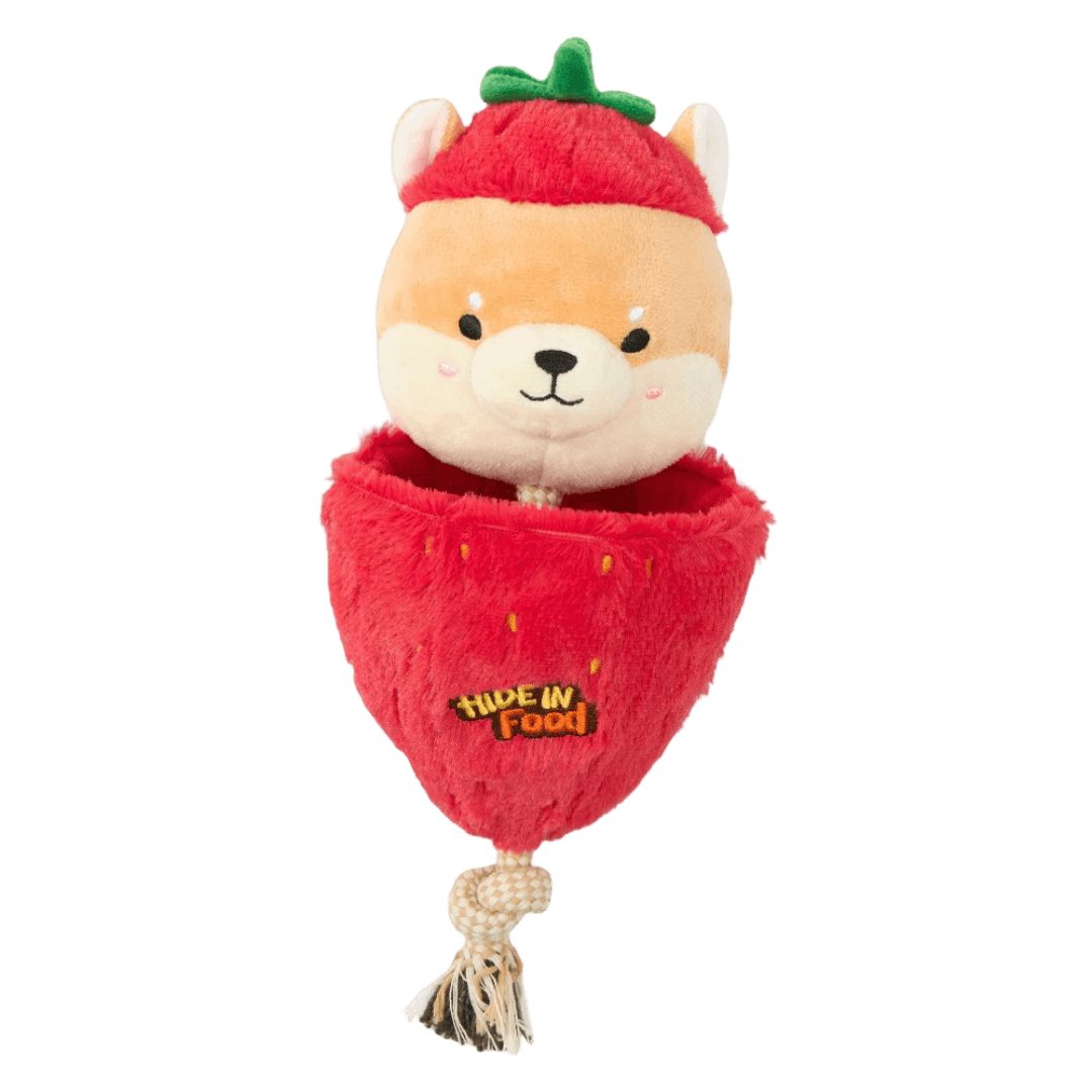 paws-for-life-2-in-1-crinkle-strawberry-corgi-and-rope-dog-tug-toy