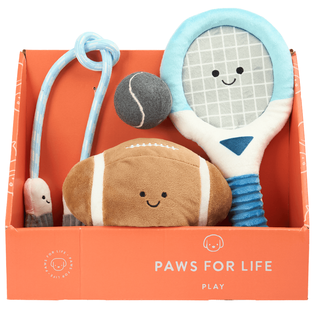 paws-for-life-4-piece-gift-set-rugby-tennis-sport-dog-toys