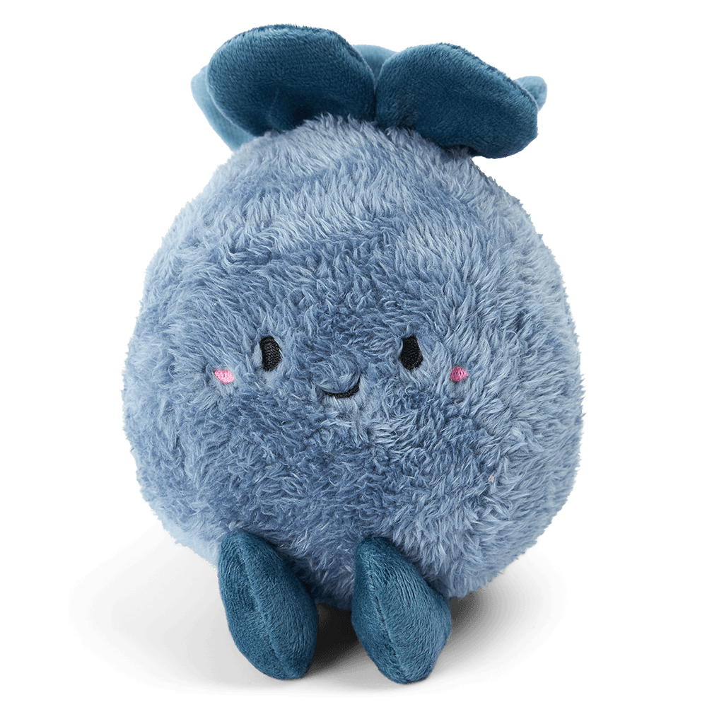 paws-for-life-blueberry-dog-toy