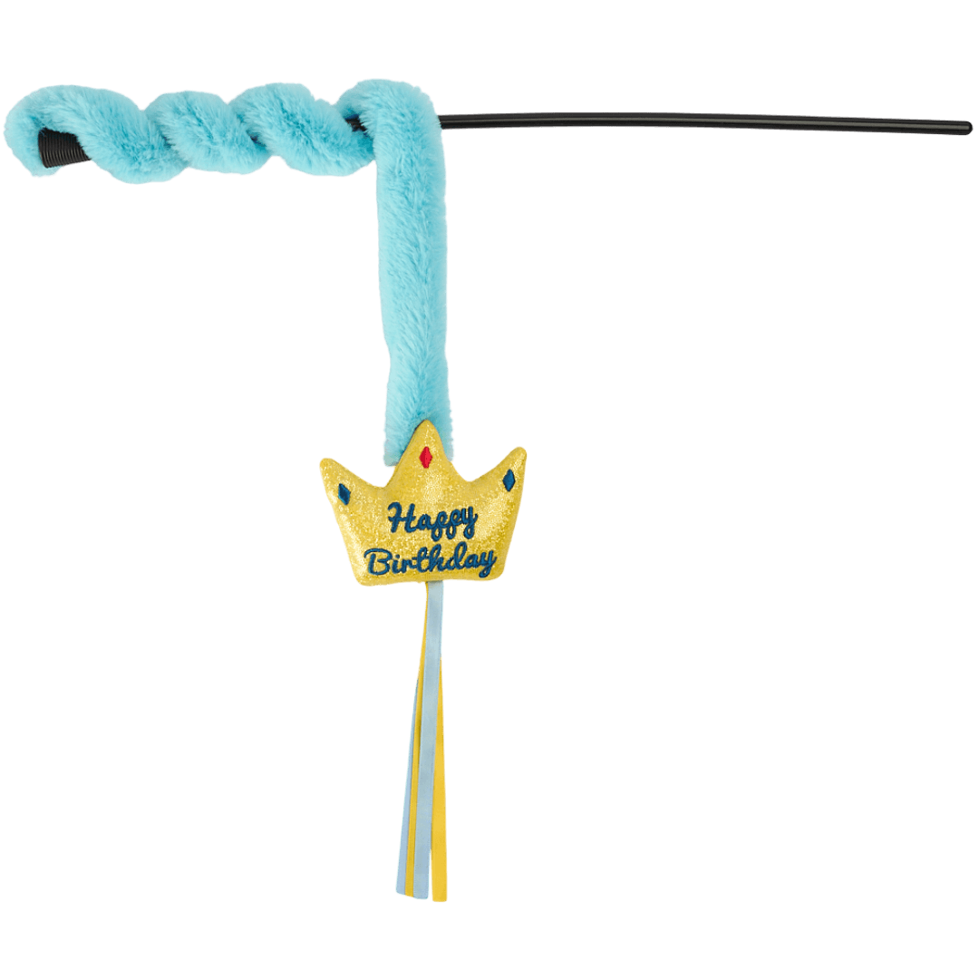 paws-for-life-birthday-party-crown-cat-teaser-wand