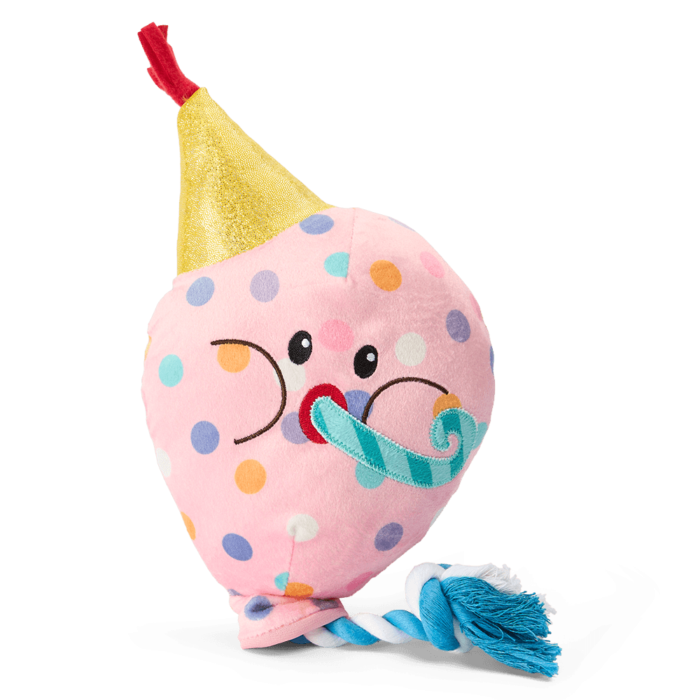 Better Bundles Birthday Party Dog Bundle