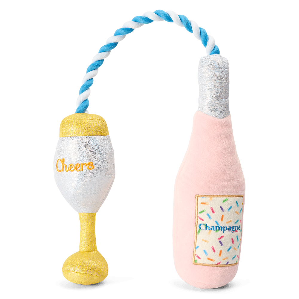paws-for-life-birthday-party-champagne-bottle-with-rope
