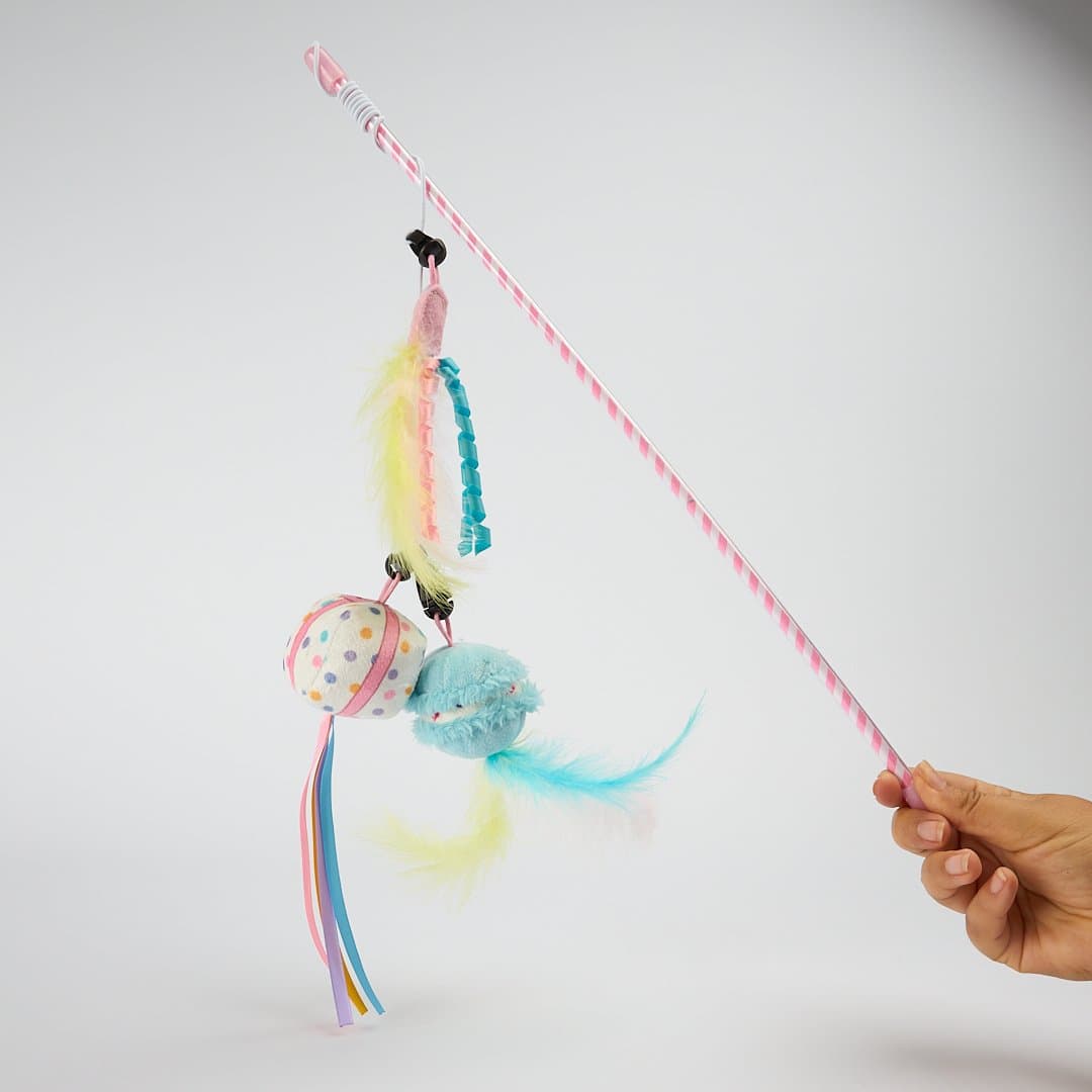 paws-for-life-birthday-party-macaron-gift-box-replaceable-cat-teaser