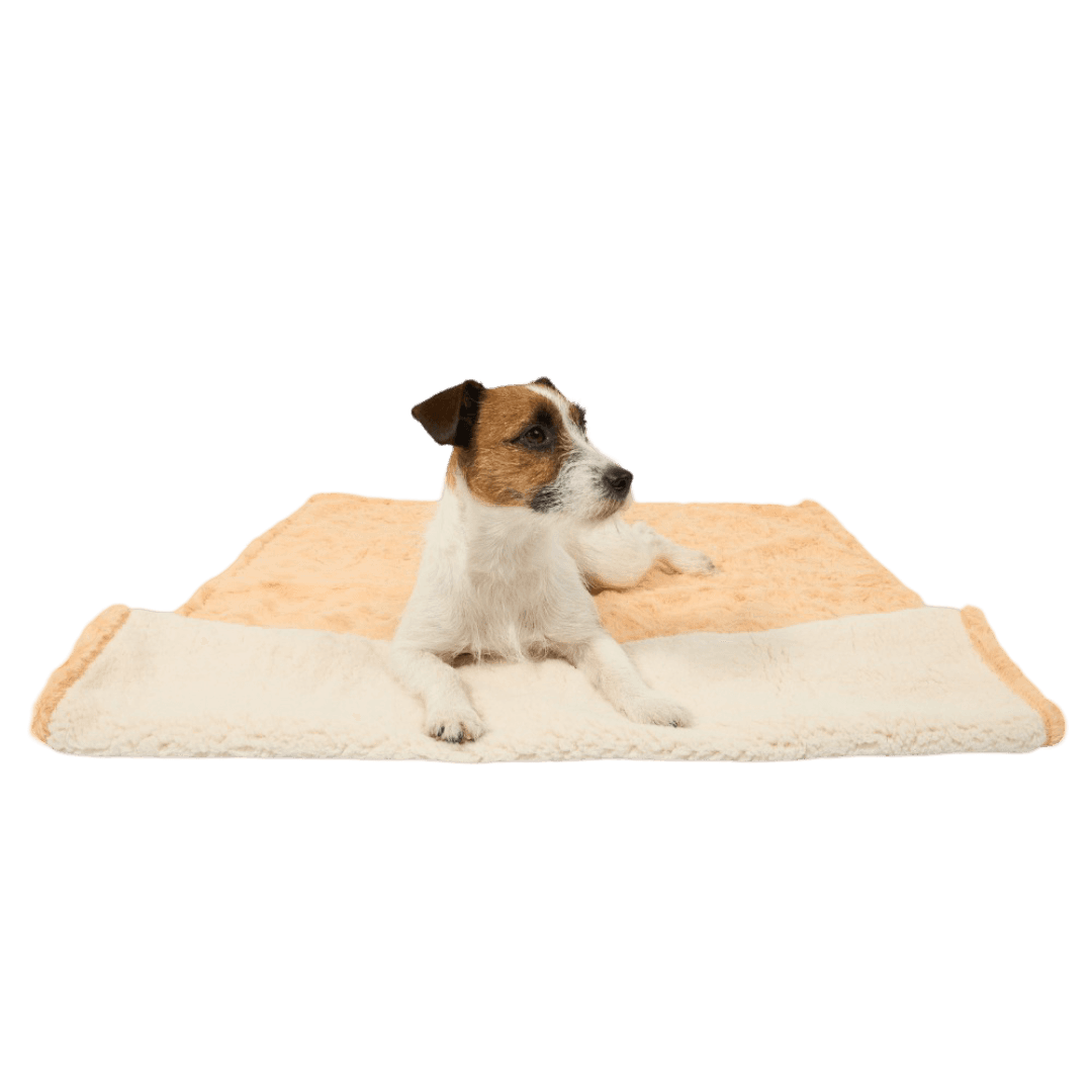 paws-for-life-brushed-fleece-waterproof-pet-blanket-pink