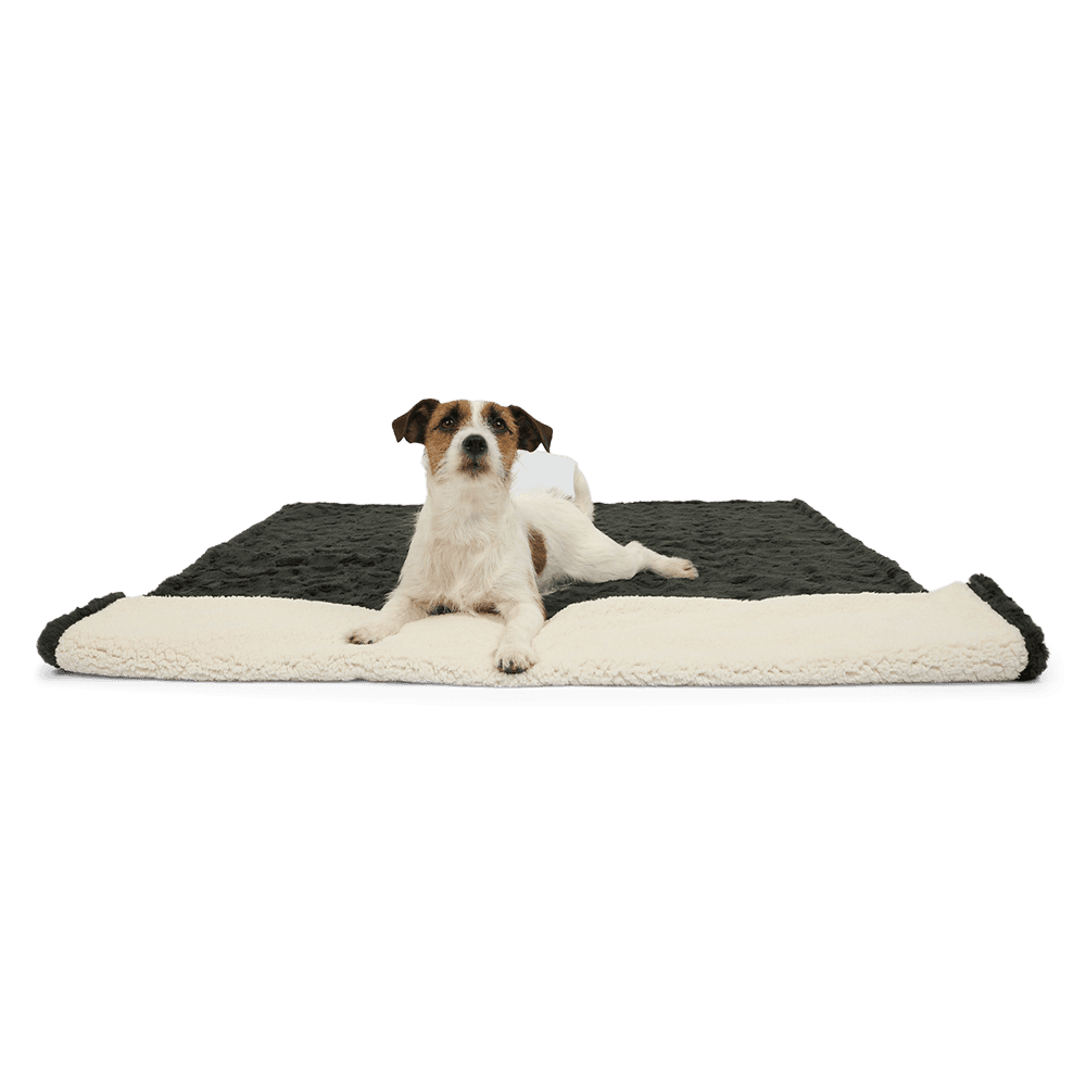 paws-for-life-brushed-fleece-waterproof-pet-blanket-charcoal