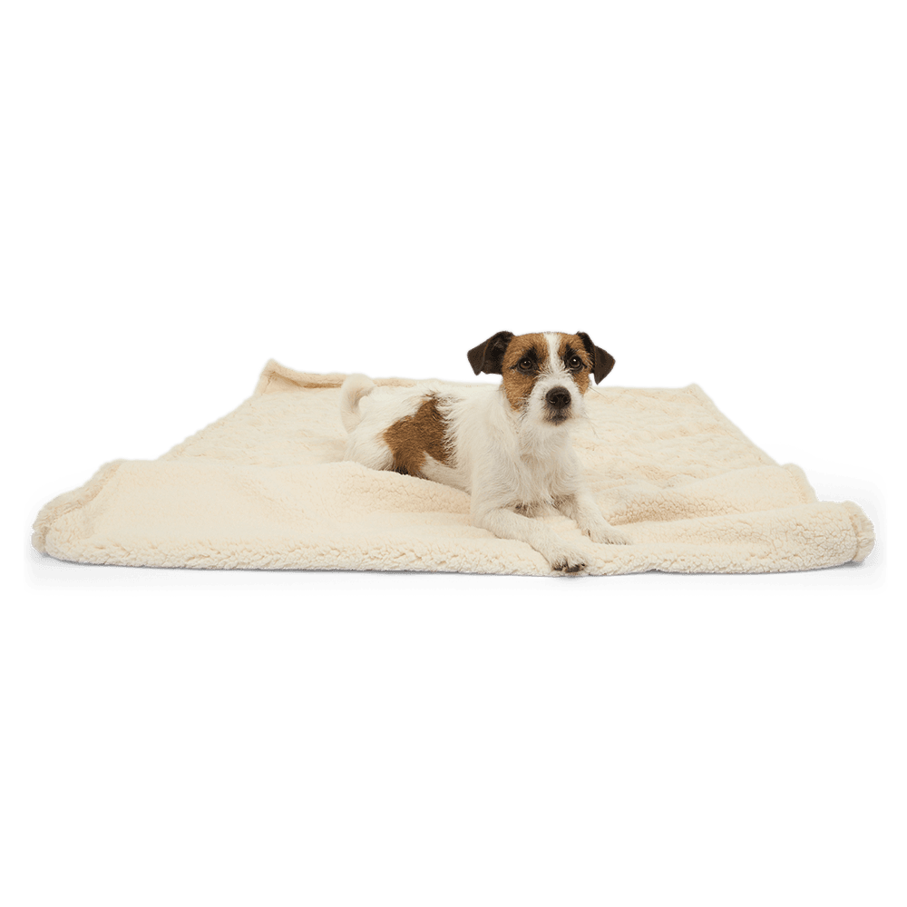 paws-for-life-brushed-fleece-waterproof-pet-blanket-oatmeal