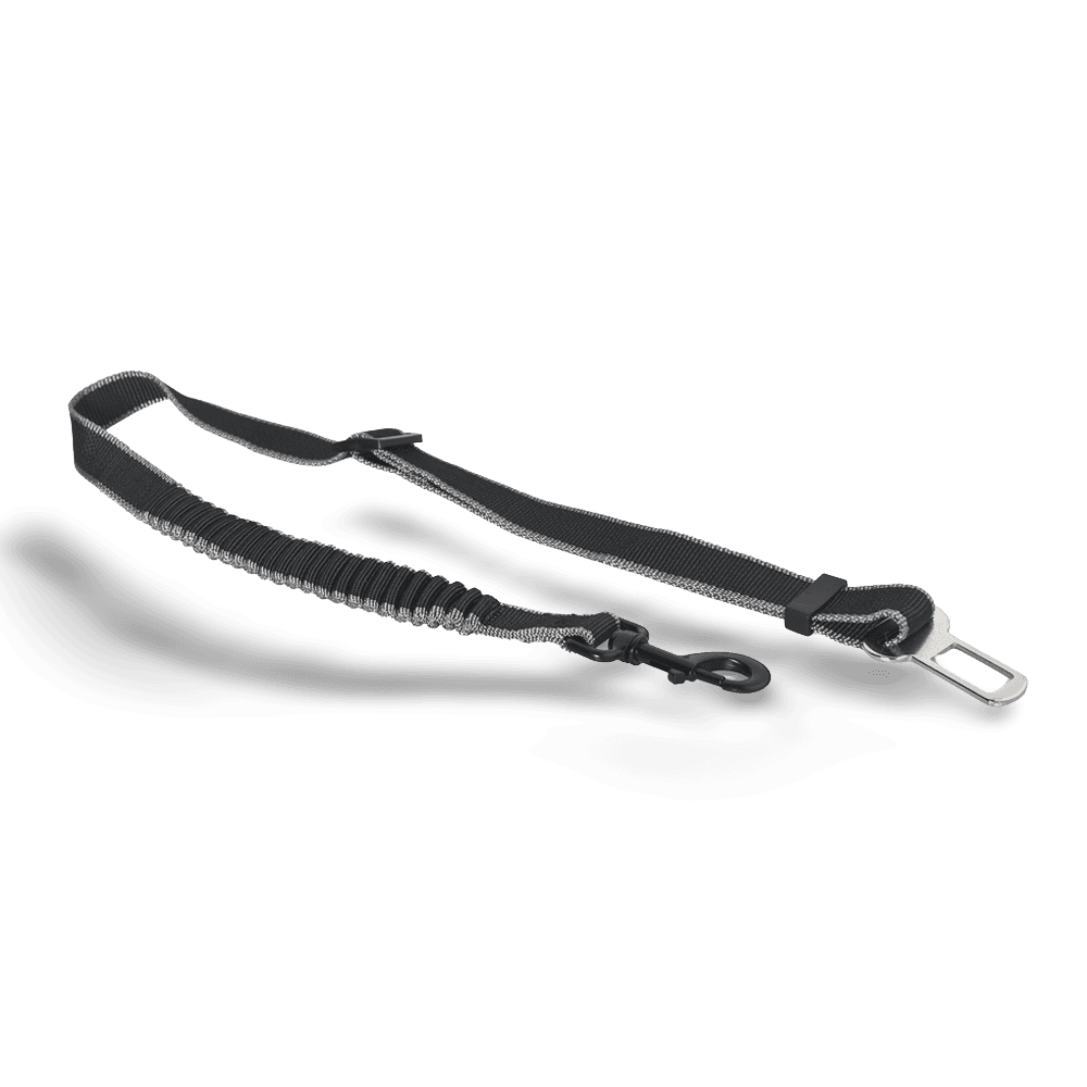 paws-for-life-car-safety-belt