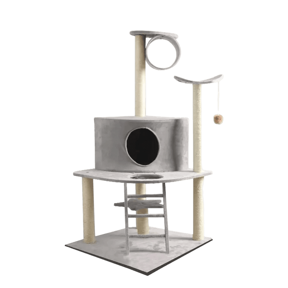 paws-for-life-cat-extra-large-ammusement-park