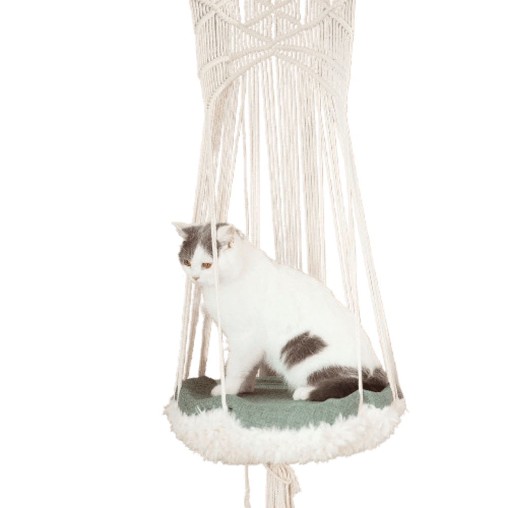 paws-for-life-cat-hanging-hammock