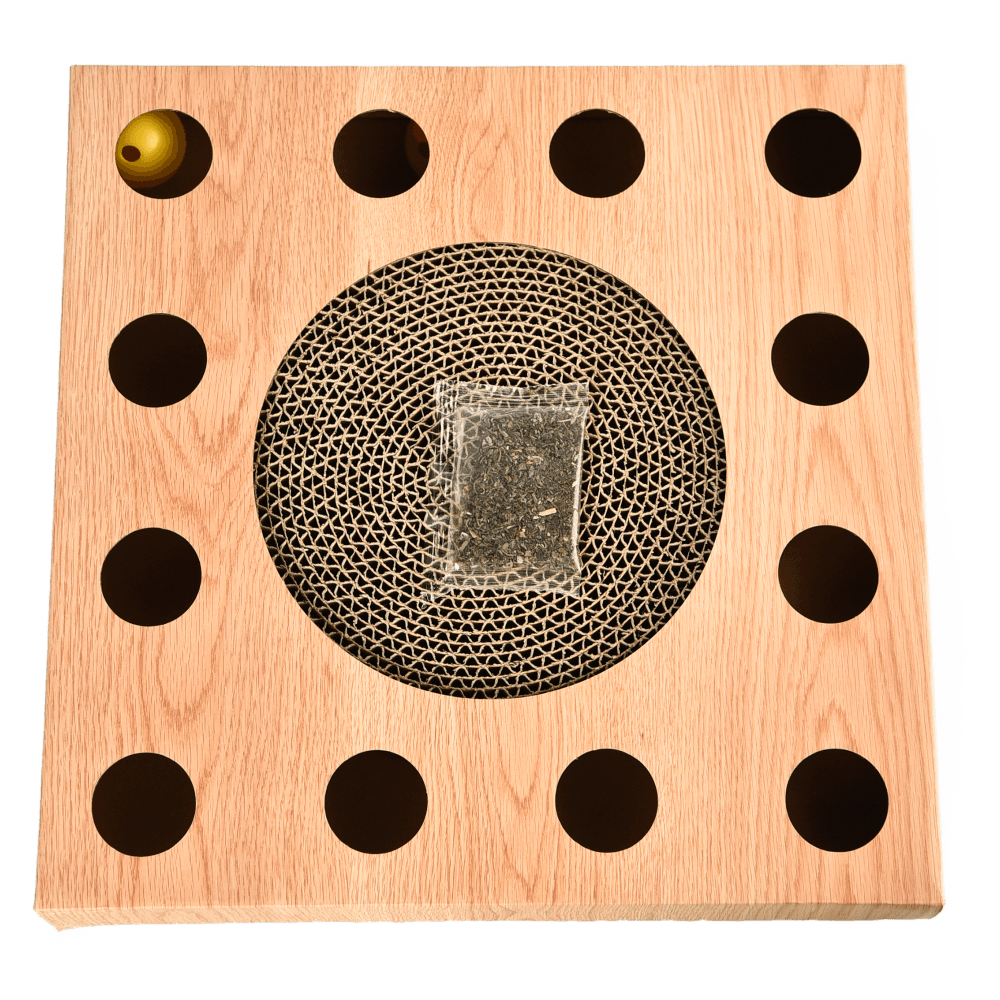 paws-for-life-cat-scratch-and-play-iq-puzzle