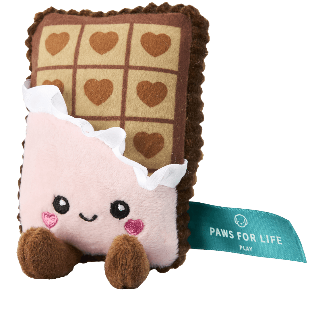 paws-for-life-chocolate-plush-dog-toy